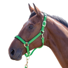 (XX Small Pony, Green) Shires Topaz Nylon Horse Headcollar