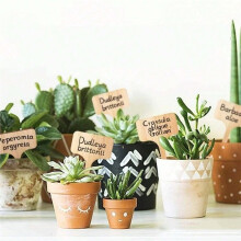 40Stuks Houten Plantenlabels Planten Tags T-Type Tuin voor Planten Groente Zaailingen Bordjes Buiten Handgeschreven Tags