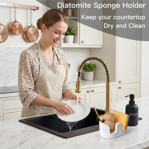 Absorbent Diatomaceous Earth Sponge Rack for Kitchen Sinks, Double-Bowl Quick-Drying Dishwashing Brush Organizer 2