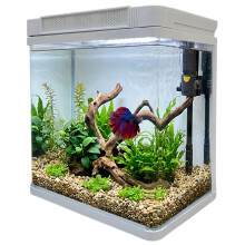 14L Aquarium Fish Tank Kit with LED Light Filter & Pump