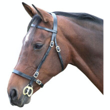 (Pony, Black) Blenheim Leather Plain Horse Inhand Bridle