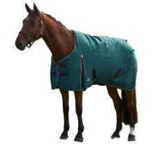 (5' 3", Forest Green/Black) Weatherbeeta Comfitec Classic Combo Neck 50g Horse Turnout Rug