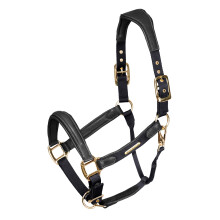 (Pony, Black) Velociti Lusso Leather Padded Horse Headcollar