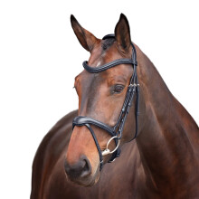 (Pony, Black) Velociti Lusso Elite Leather Horse Flash Bridle