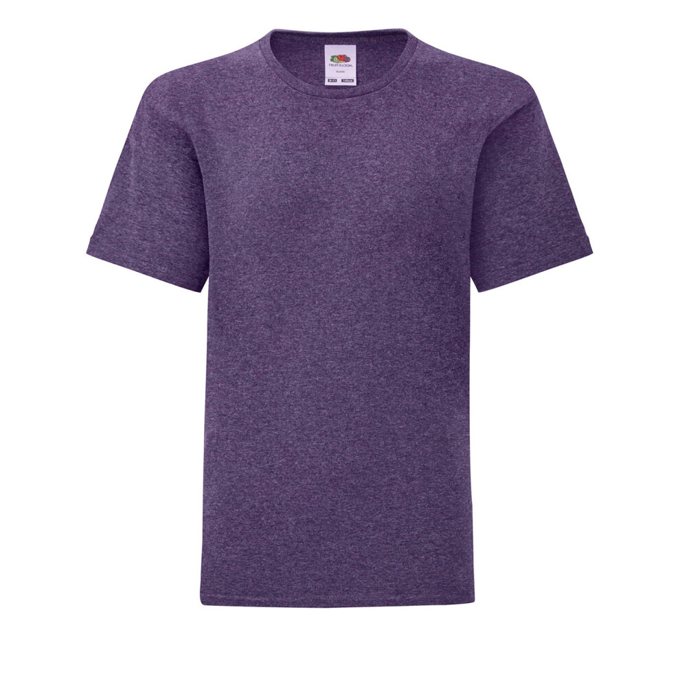 Fruit Of The Loom (3-4 Years, Heather Purple) Childrens/Kids Iconic Heather T-Shirt