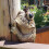 Sculptures d'arbres de jardin Quiet Frog Tree Peeker B 1