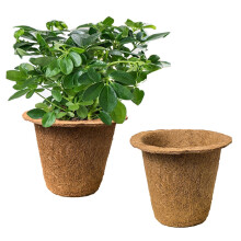 Lot de 2 pots de pépinière – Pots en tourbe biodégradables pour semis et kits de démarrage – Mini pots pour intérieur et extérieur –