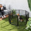 PawHut Parque para Perro Negro 240 x 120 x 76 cm 2