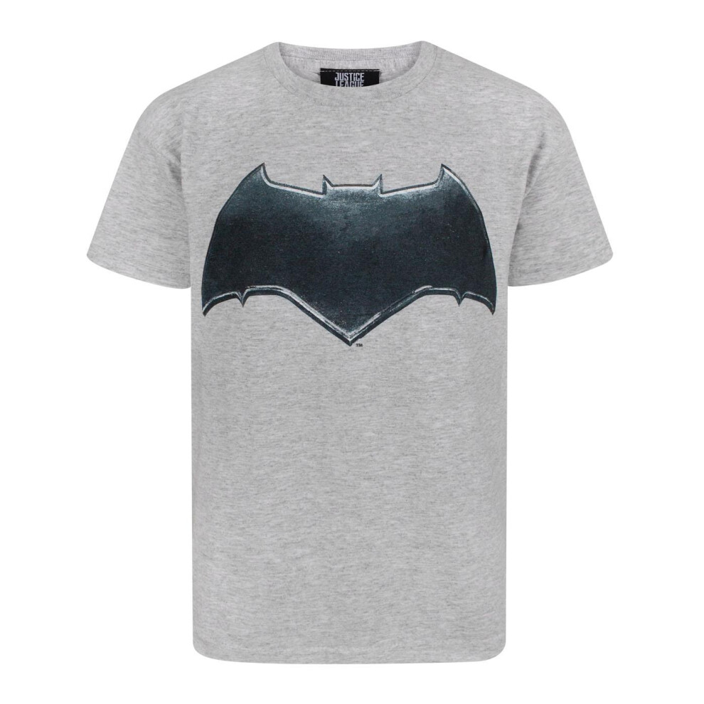 Dc Comics (11-12 Years) Spiderman Short Sleeved T-Shirt (Boys Multicoloured)