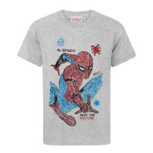 (13-14 Years) Marvel Spiderman Short Sleeved T-Shirt (Boys Grey)