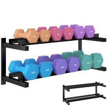 Wall-Mounted Dumbbell Rack, 2-Tier Weight Stand, Space-Saving and Multi-Functional Steel organiser for Home Gym, Black