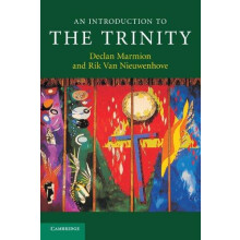 An Introduction to the Trinity by Declan Marmion Paperback Book