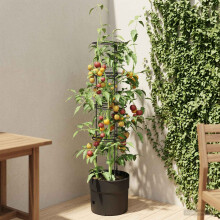 vidaXL Tomatenaufzucht Schwarz Ø 32 x 127 cm PP