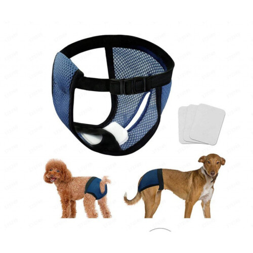 Sikkerhedsbukser til kæledyr Navy Blue M 2