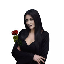 Dlhá čierna parochňa, rovná parochňa Widnesday Mordicia Adamams, dámsky halloweenský kostým