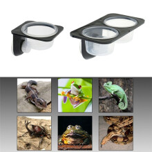 Reptilien und Amphibien, Eidechse, Gecko, Saugnapf, Futternäpfe, Futterbehälter mit Schüssel für Reptilienfutter und Wasserfütterung-A