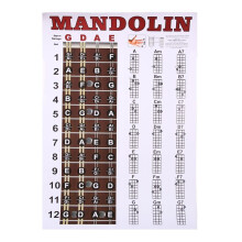 Affiche de Mandoline Tableau des Accords de Formation Musicale Guide des Instruments Accords Tableau des Doigtés Du Manche