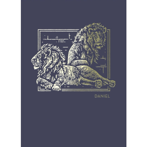 NET Abide Bible Journal Daniel Paperback Comfort Print Softcover by Th