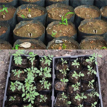 2000Pcs Nursery Pot Plastic Plant Propagation Container Grow Bag Garden Supplies 8cmX8cm