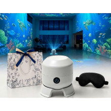 RUIYUE Projecteur de plafond océan, veilleuse holographique HD 5D avec 24 films de projection, écran Galaxy Star réglabl