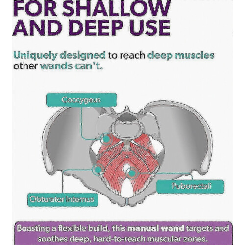 Τελευταία ιδιωτική συσκευή μασάζ 2026 Rose Pelvic Floor & Trigger Point Therapy για μυϊ 2