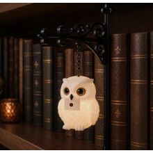 Lampe de bibliothèque suspendue en forme de hibou, éclairage de coin de livre de style enchanté, ornement de bureau conf