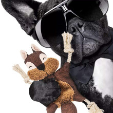 2X Stuffless Dog Toys for Puppy, Crinkle Squeaky Dog Chew Toys Squirrel Plush Dog Toy with Rope Knots for Small Dogs