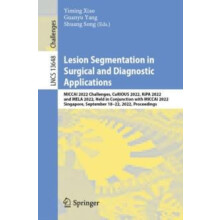Lesion Segmentation in Surgical and Diagnostic Applications MICCAI 202