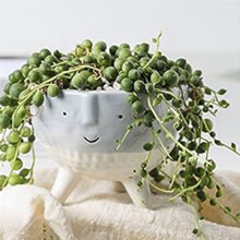 Succulent Planter Pot Pack of 2, Face Planters Perfect for Indoor Outdoor Plants,Planters Pots for Succulent String