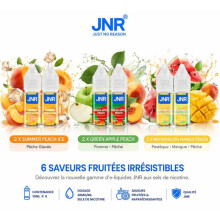 JNR E-liquide Lot 6x10ml 20mg/ml - Summer Peach Ice, Green Apple Peach, Watermelon Mango Peach - Fruits Frais