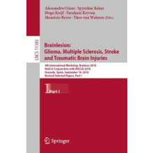 Brainlesion Glioma Multiple Sclerosis Stroke and Traumatic Brain Injur