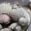 WeRChristmas Glass Baubles, Black/White, 5-Piece 4