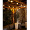WeRChristmas Festoon Series 1.3W E27 LED Bulb, Yellow 4