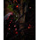 WeRChristmas PRO Series LED String Lights, Black Cable, Red, 10 m 2