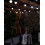 WeRChristmas Festoon Series 0.6W E27 LED Bulb, White 4