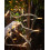 WeRChristmas PRO Series Twinkle LED String Lights, White Cable, Warm White, 5 m 3
