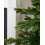 Himalayan Fir Christmas Tree (5ft) 3