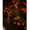 WeRChristmas Twinkling LED Cluster Lights, Black Cable 4