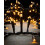 WeRChristmas PRO Series LED Cluster Lights, Black Cable, Warm White, 5 m 6