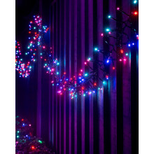 WeRChristmas LED Cluster Lights, Black Cable