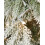 8 ft Pre-Lit Snow Flocked Artificial Christmas Tree with 600 LEDs & 8 Light Functions 7