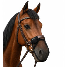 Horse Nose Fly Net Mask Medium
