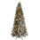 WeRChristmas 6 ft Slim Snow Flocked Spruce Pre-Lit Multi-Function Christmas Tree with 300 Warm White LED Lights/ 8 Setting Controller/ Easy Build 1