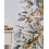 WeRChristmas 6 ft Slim Snow Flocked Spruce Pre-Lit Multi-Function Christmas Tree with 300 Warm White LED Lights/ 8 Setting Controller/ Easy Build 3