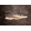 Full Salmon Side 1-1.2kg 2