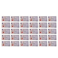 30 Pièces Fausse Carte En Plastique Père Noël Licence de Vol Licence de Traîneau pour Enfants Cadeau de Noël Créatif Décor D'Arbre de Noël