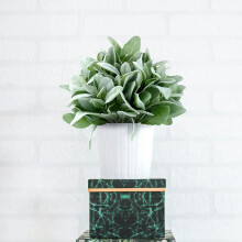 48 Pcs Artificial Flocked Lambs Ear Greenery Stems Faux Lambs Ear Stems Lamb's Ear Faux Greenery Decor Artificial