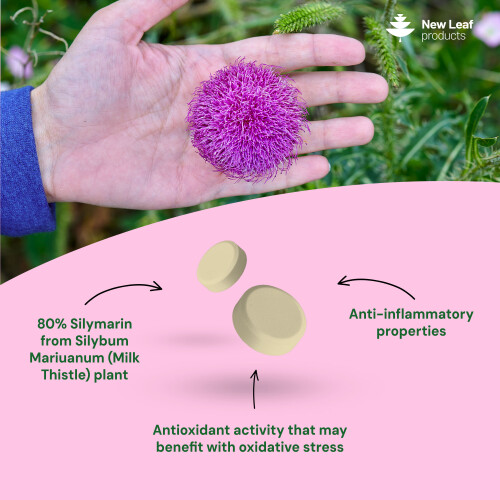 New Leaf Product Milk Thistle Tablets 4000mg - 80% Silymarin High Strength 120 Tablets 1