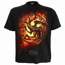 (XL, Black) HOD - DRAGON FLAMES - Front Print T-Shirt Black