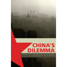 Chinas Dilemma Economic Growth the Environment and Climate Change Pape